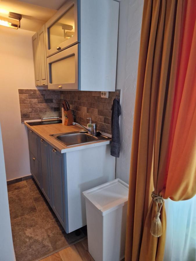 Evelyn'S Place Apartment Брашов Екстериор снимка