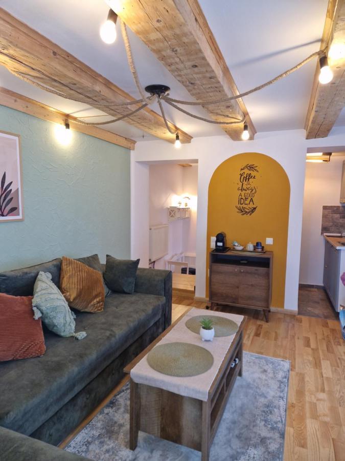 Evelyn'S Place Apartment Брашов Екстериор снимка